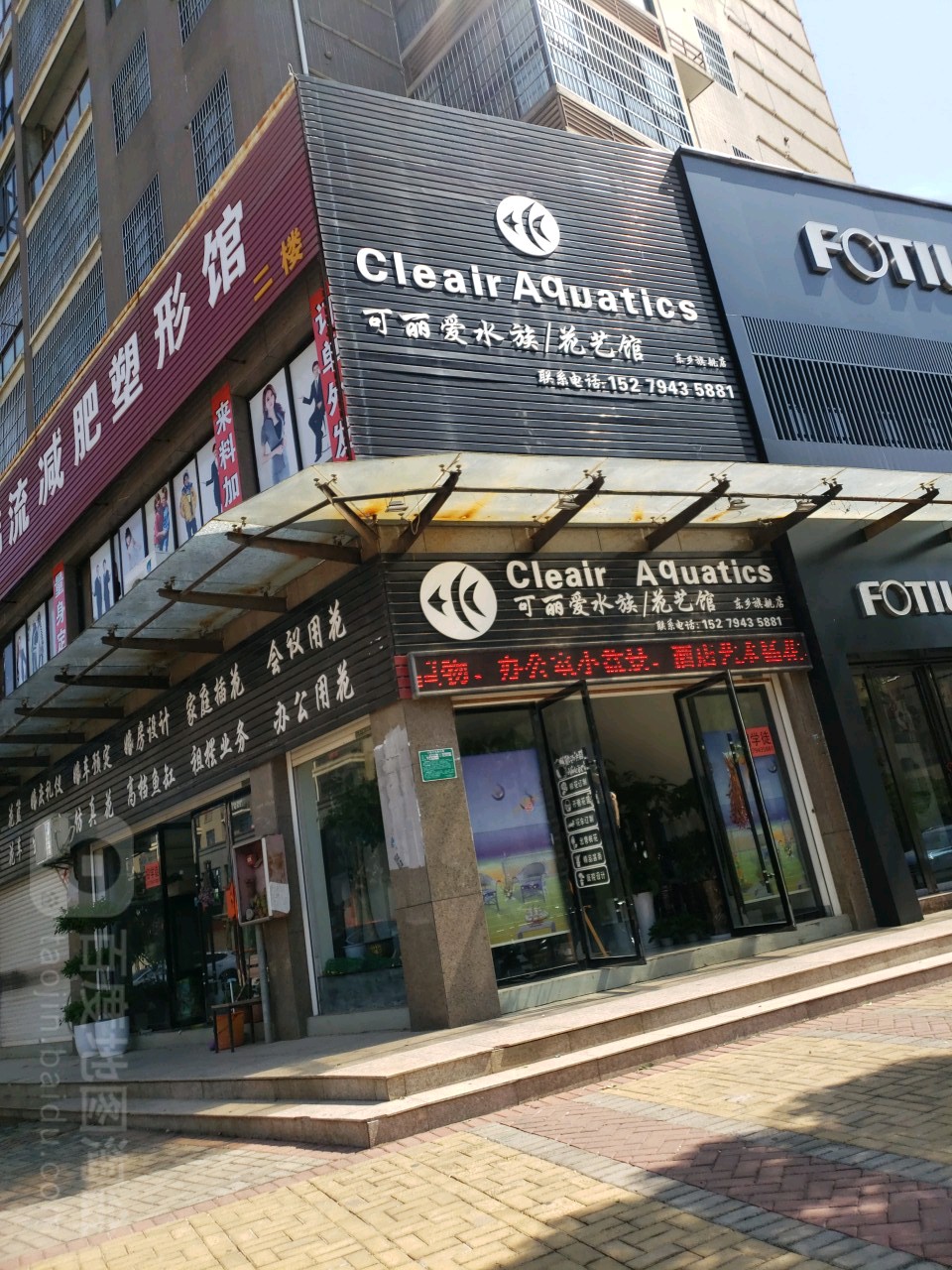 可丽爱水族花艺园(东乡旗舰店)