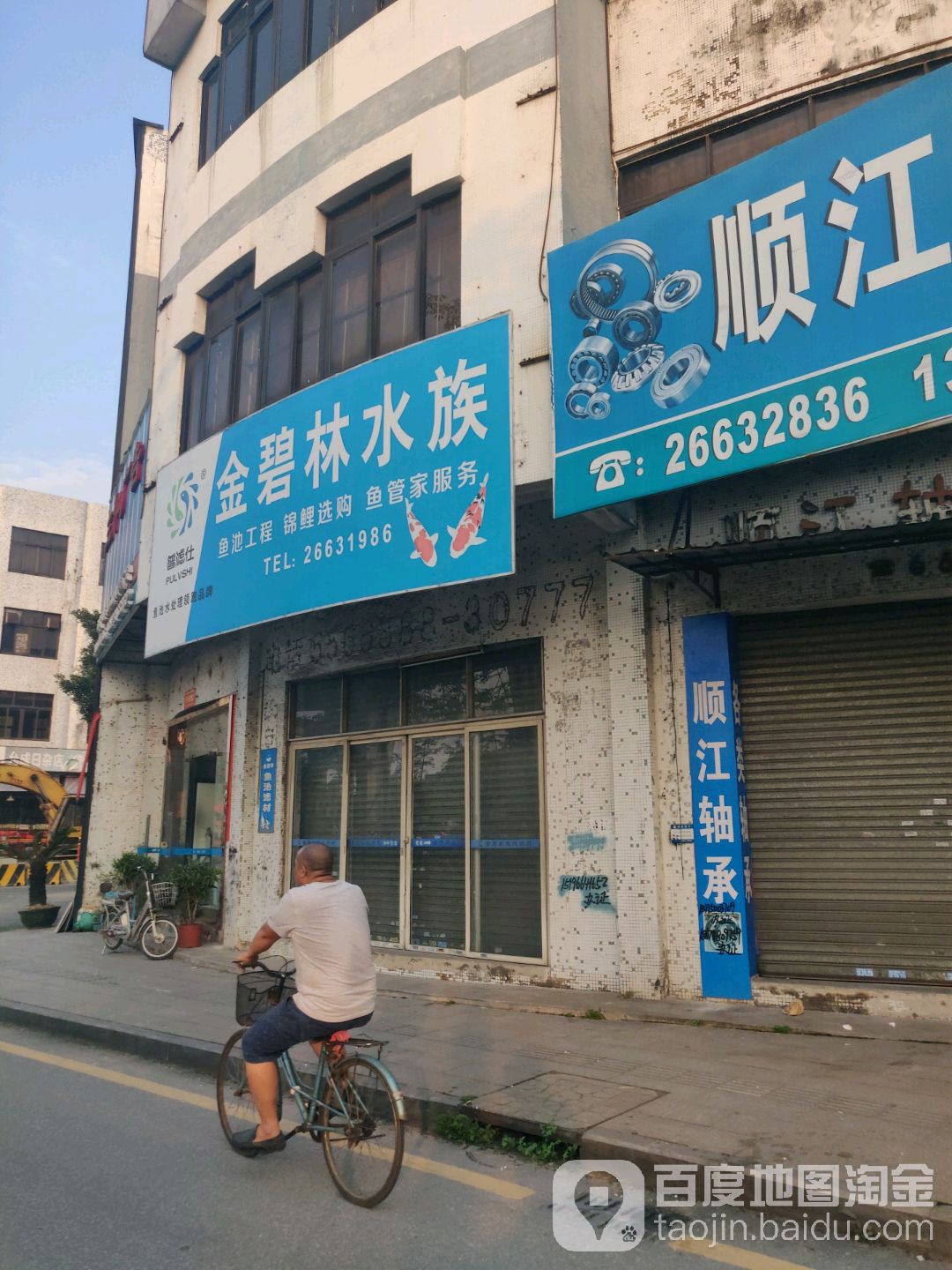 金碧林水族