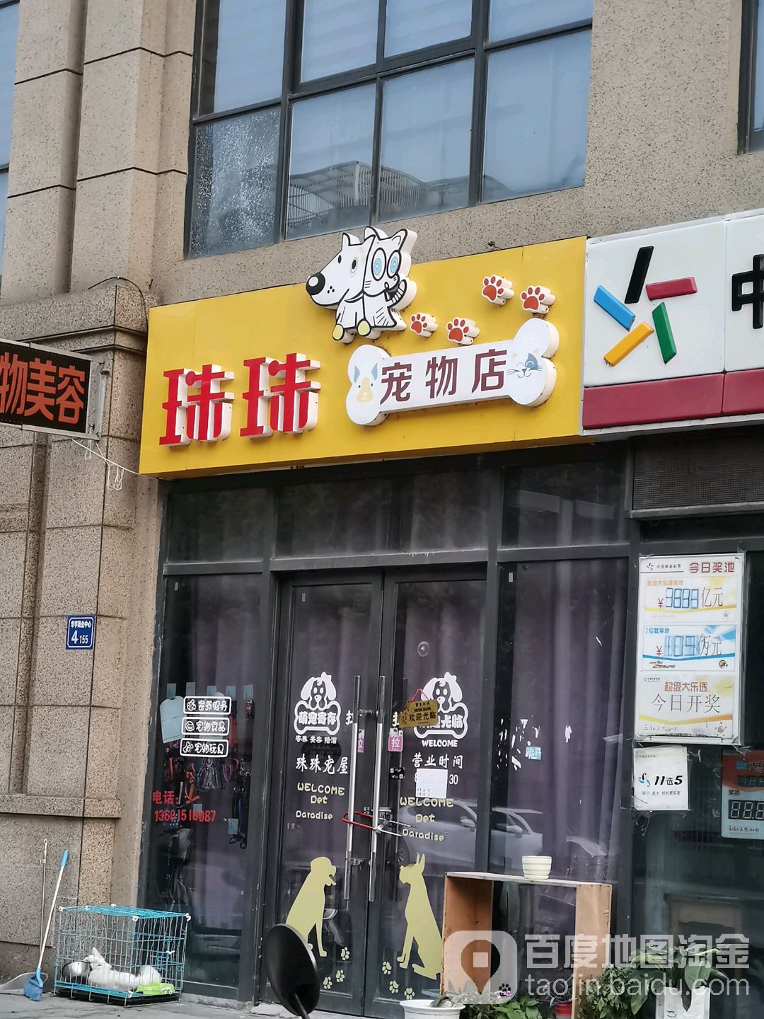 珠珠宠物店(哥伦布广场春惠路店)