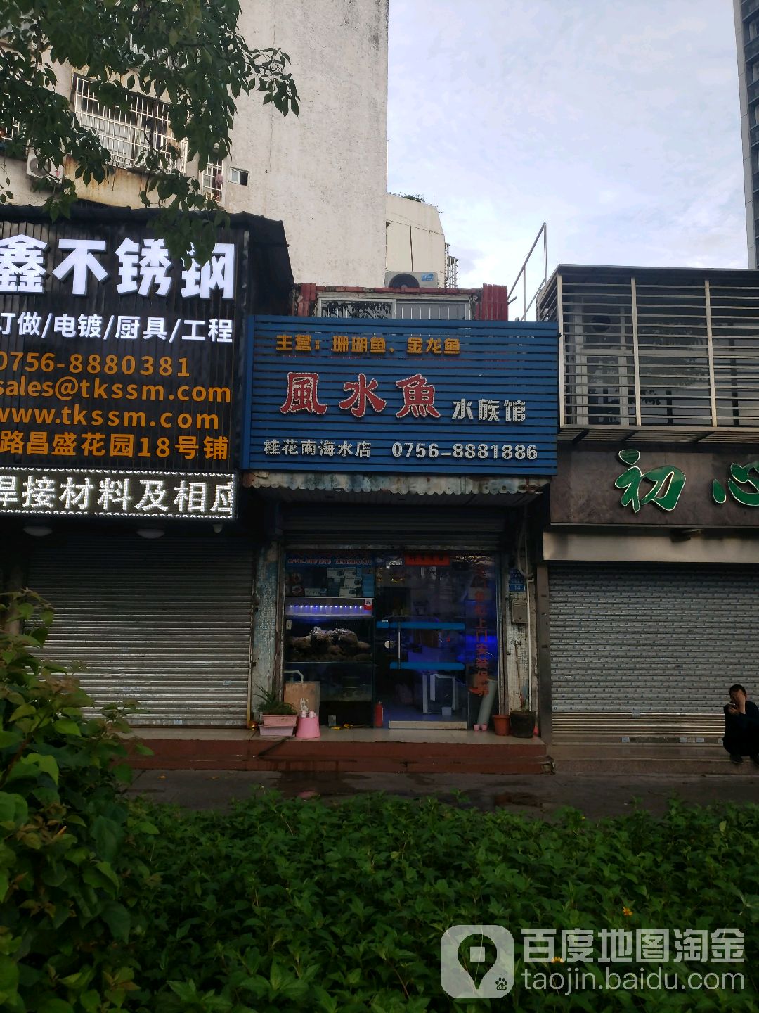 风水鱼水族馆(桂花南海水店)