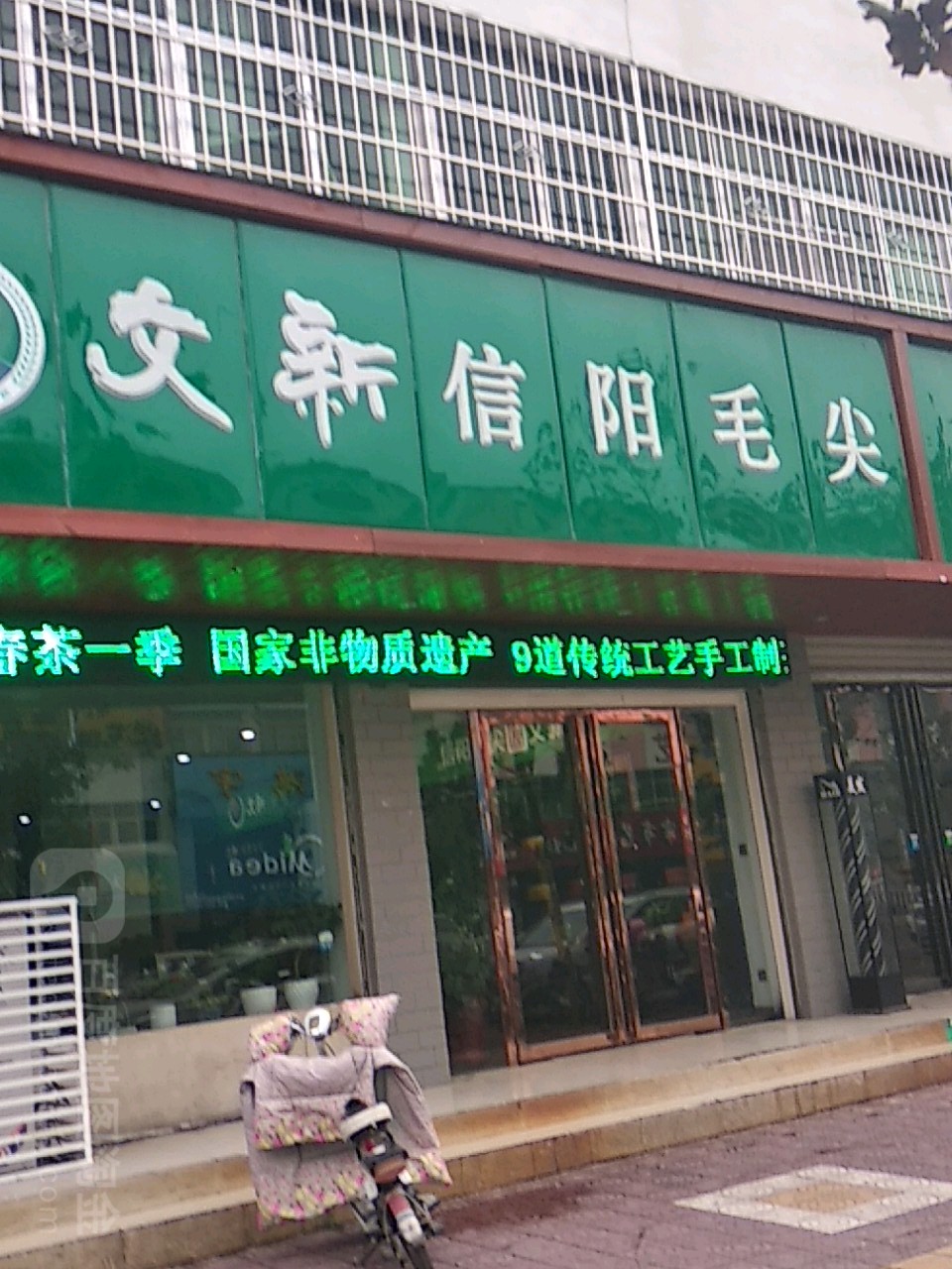 镇平县文新信阳毛尖(健康路店)