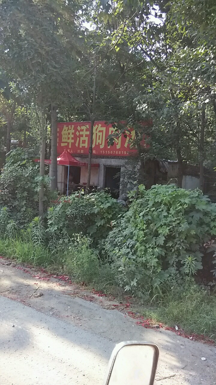 鲜活狗肉汤(
