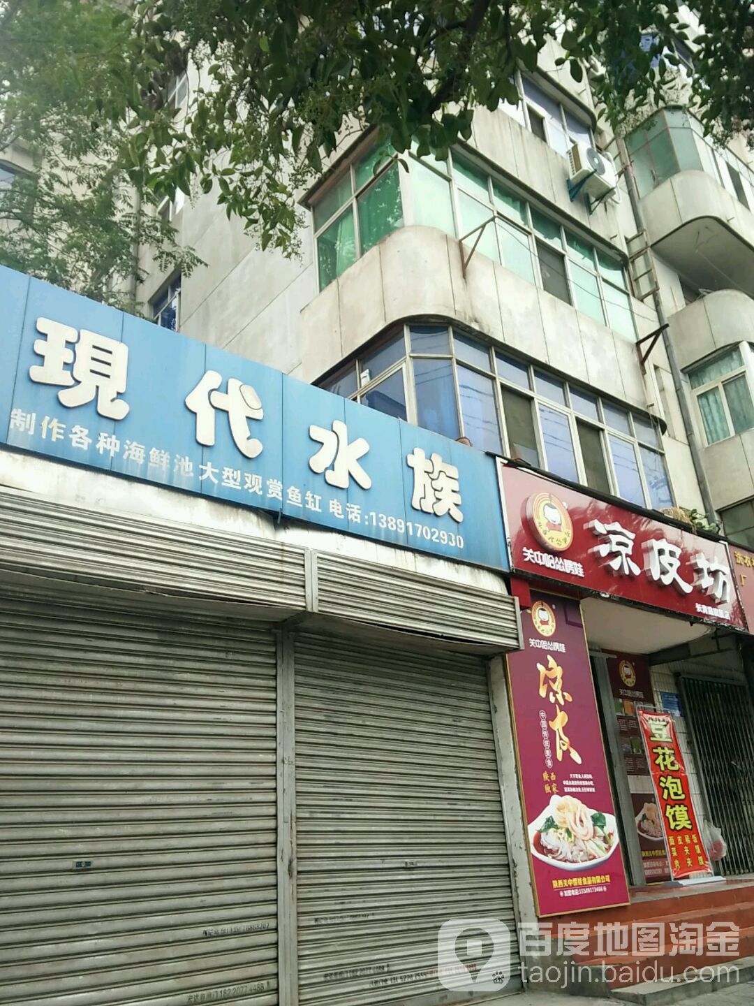现代汽水族(长青路店)