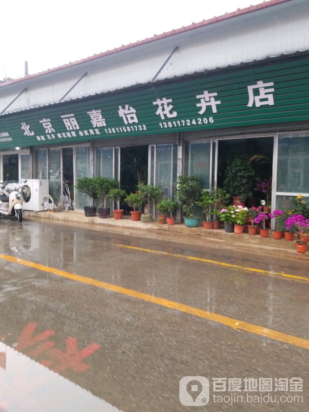 丽嘉怡花店