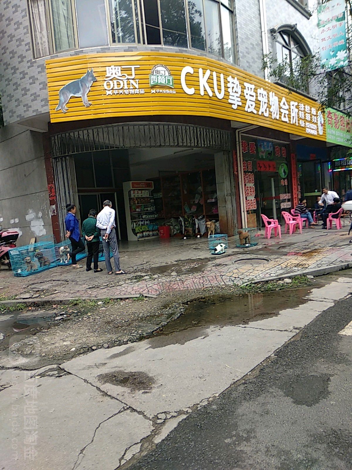 CKU挚爱宠物诊所(公园路店)