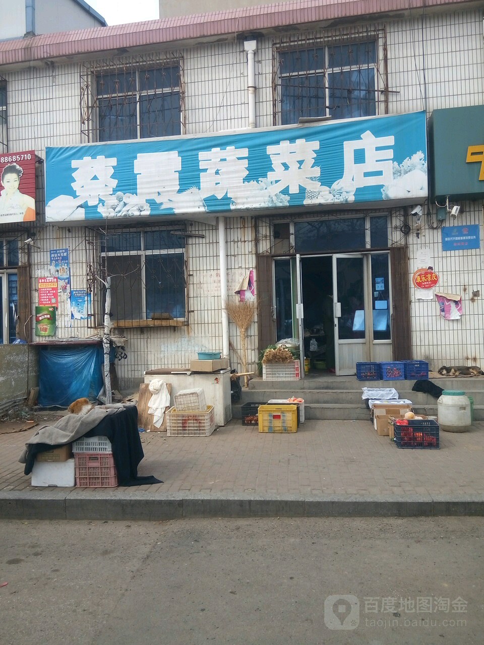 蔡霞蔬菜店