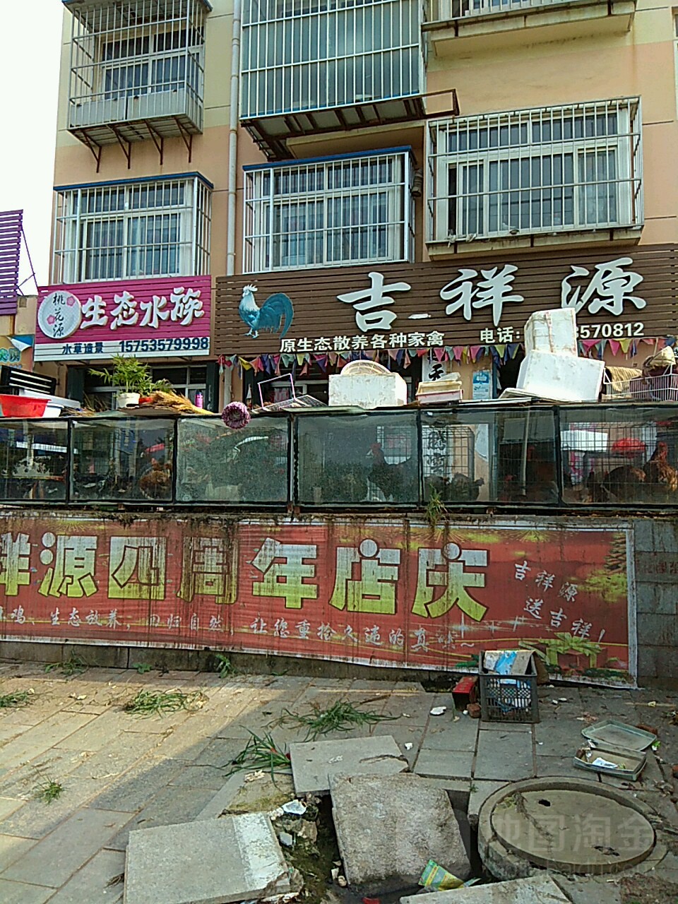 桃花源生态水族