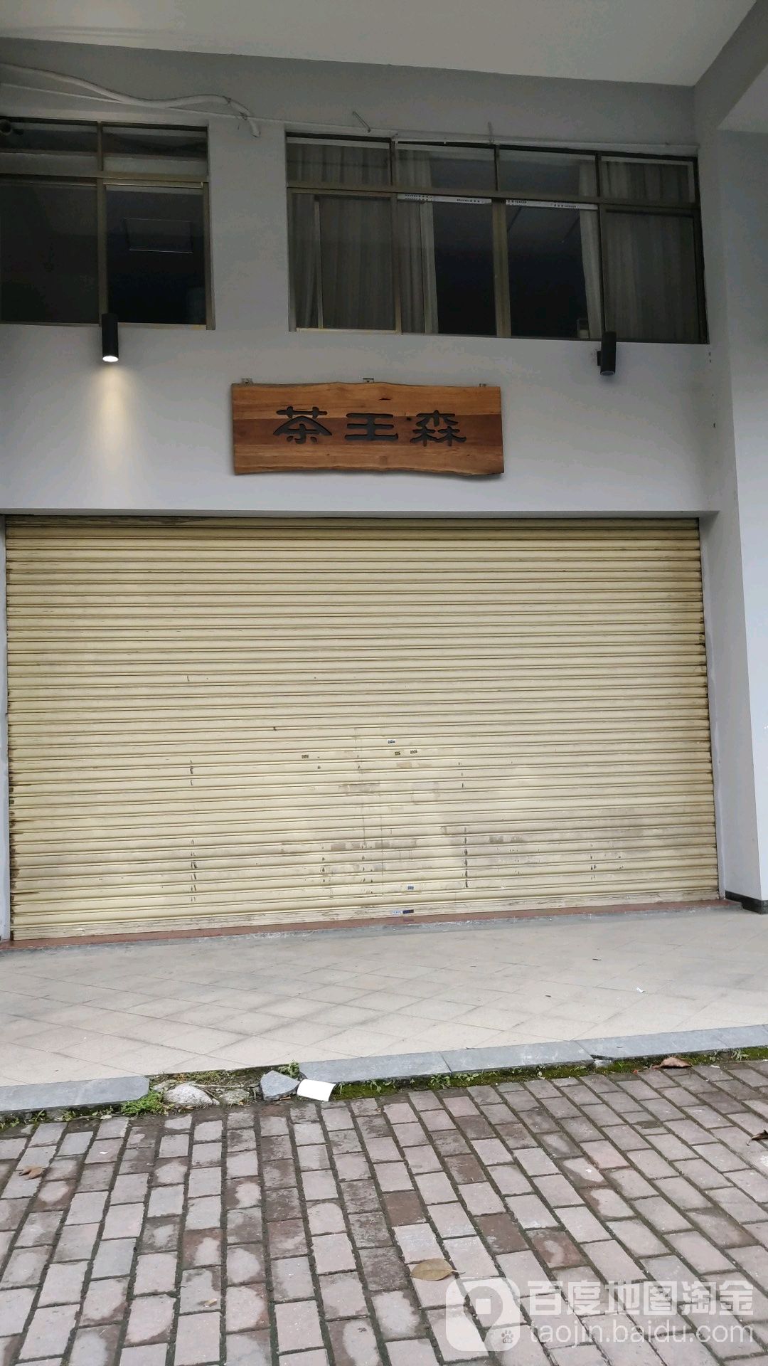 茶网森