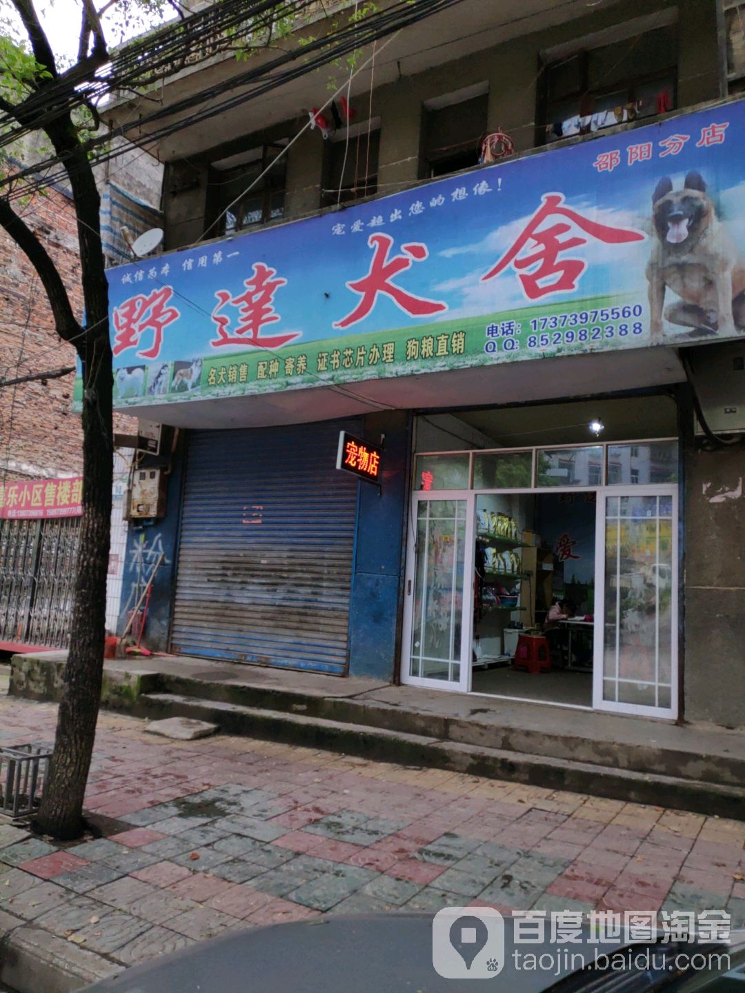 野达犬舍