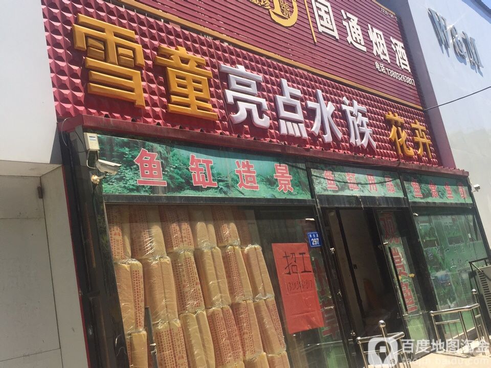 两点水族(将台路店)