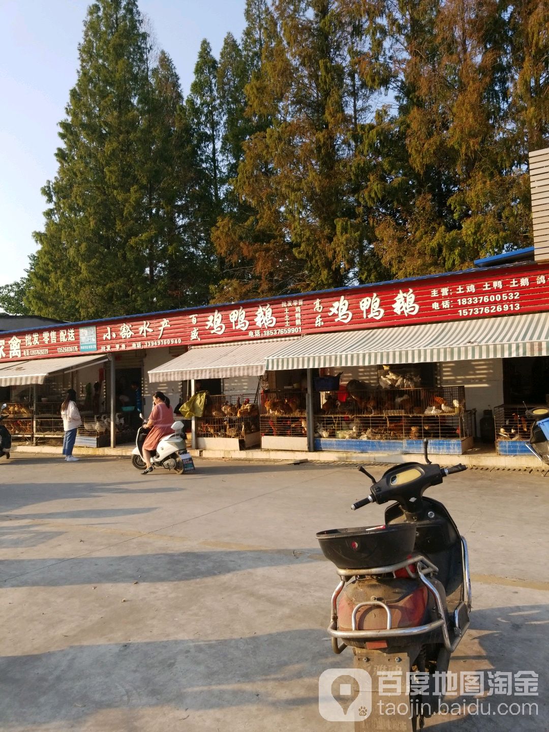 小豁水产