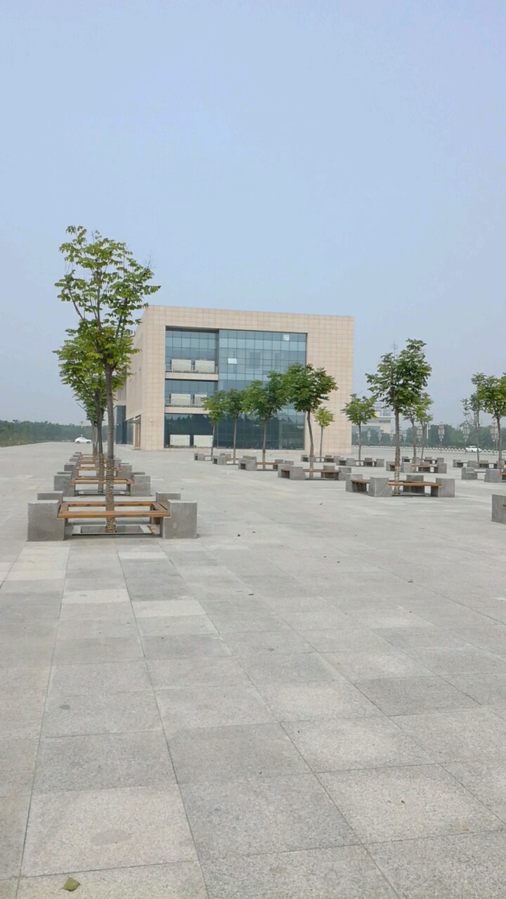 邱县委宣文化中心