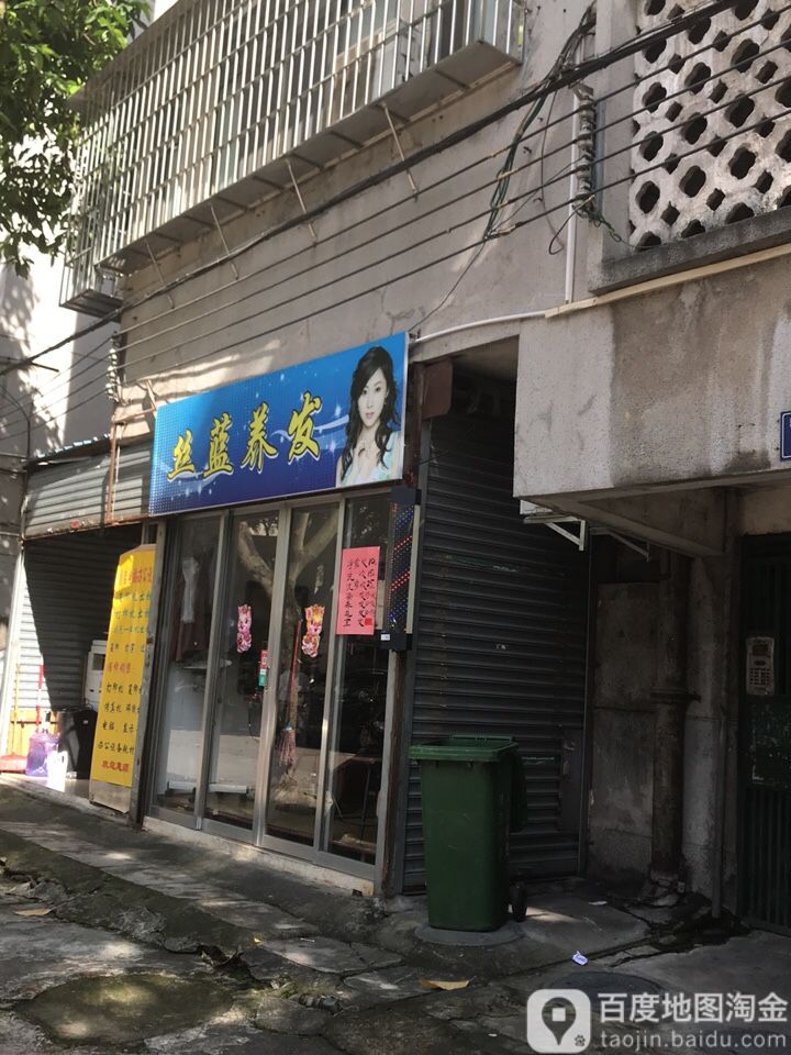 丝蓝养发