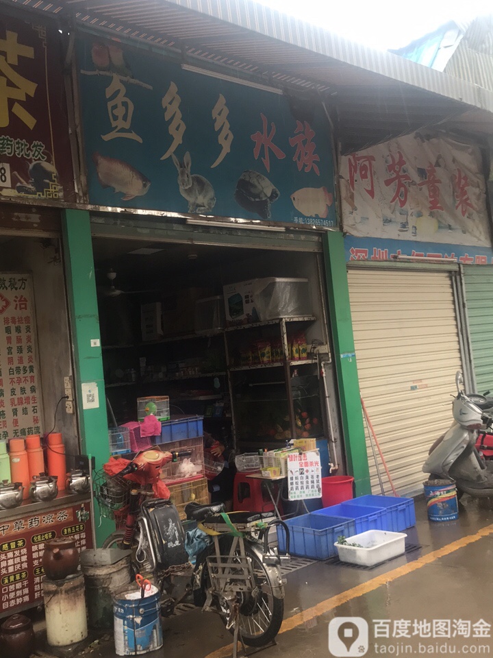 鱼多多水族(桥头市场店)
