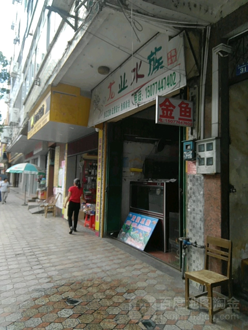 龙业水族