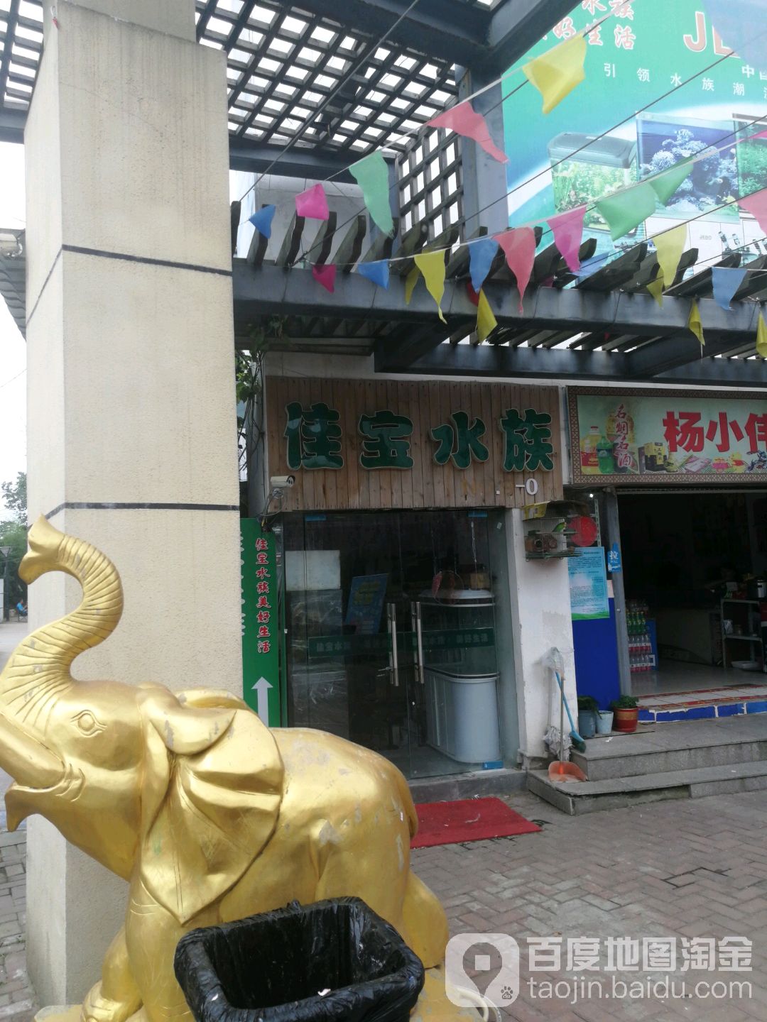 佳宝水族生日馆(友谊河路店)