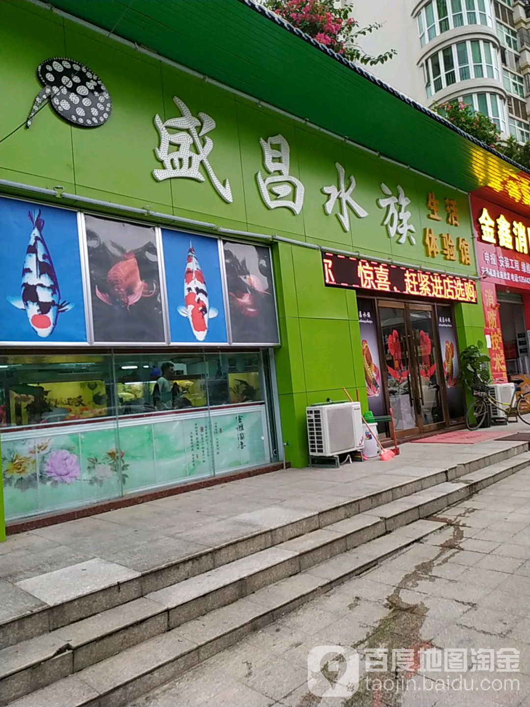 盛昌水族体验馆-鱼缸观赏鱼(龙福花园店)