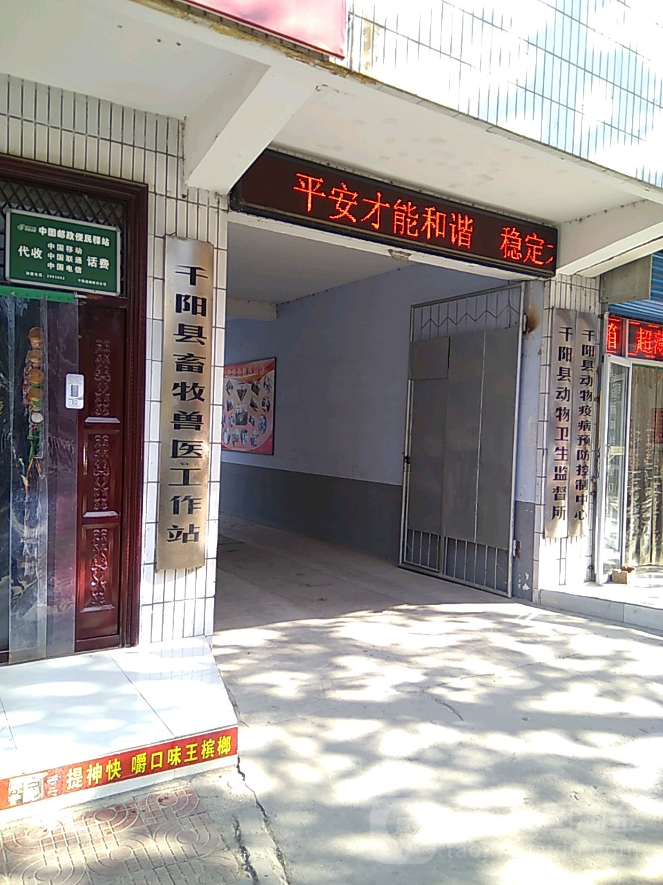 千阳县畜牧兽工作站