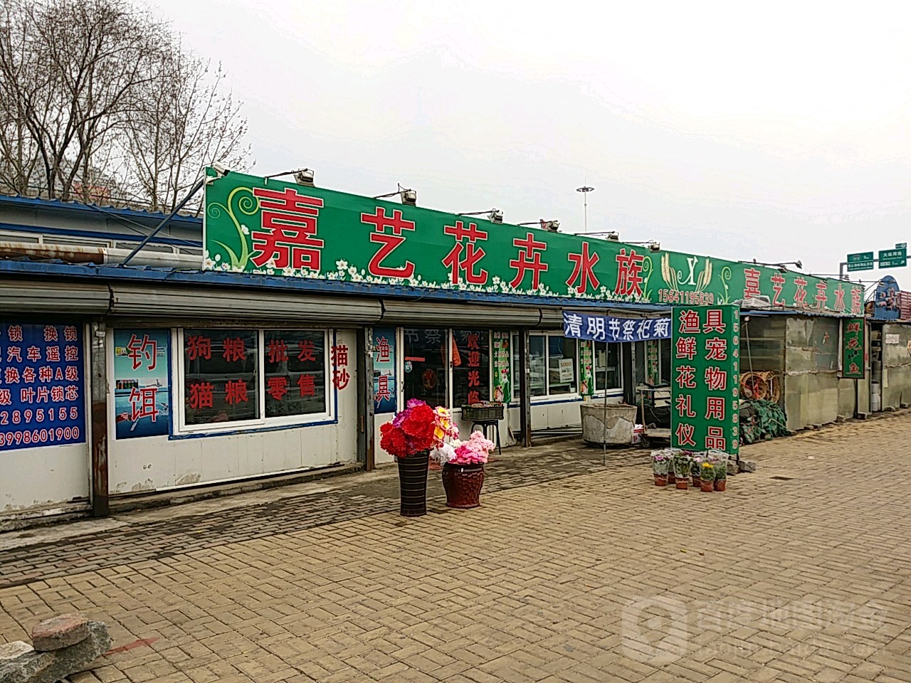 嘉玉花卉水族(杨屯大市场店)