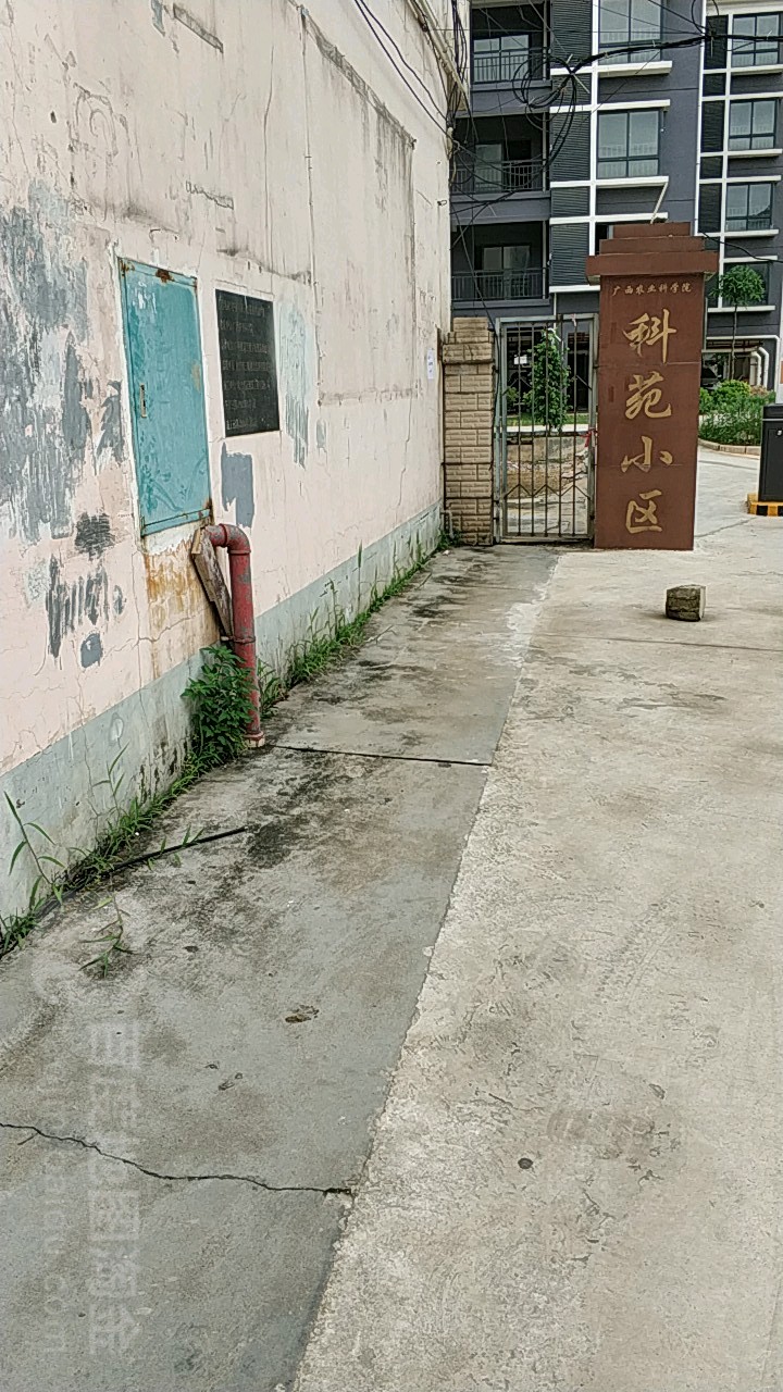 南宁市西乡塘区大学东路174号