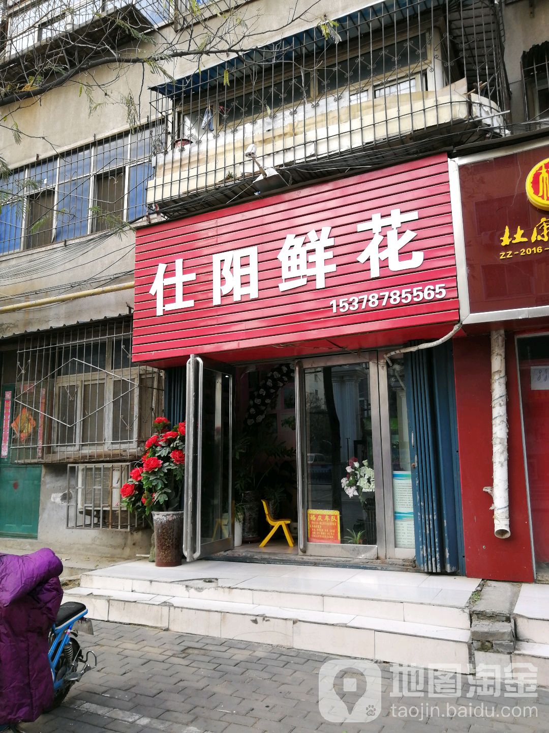仕阳鲜花