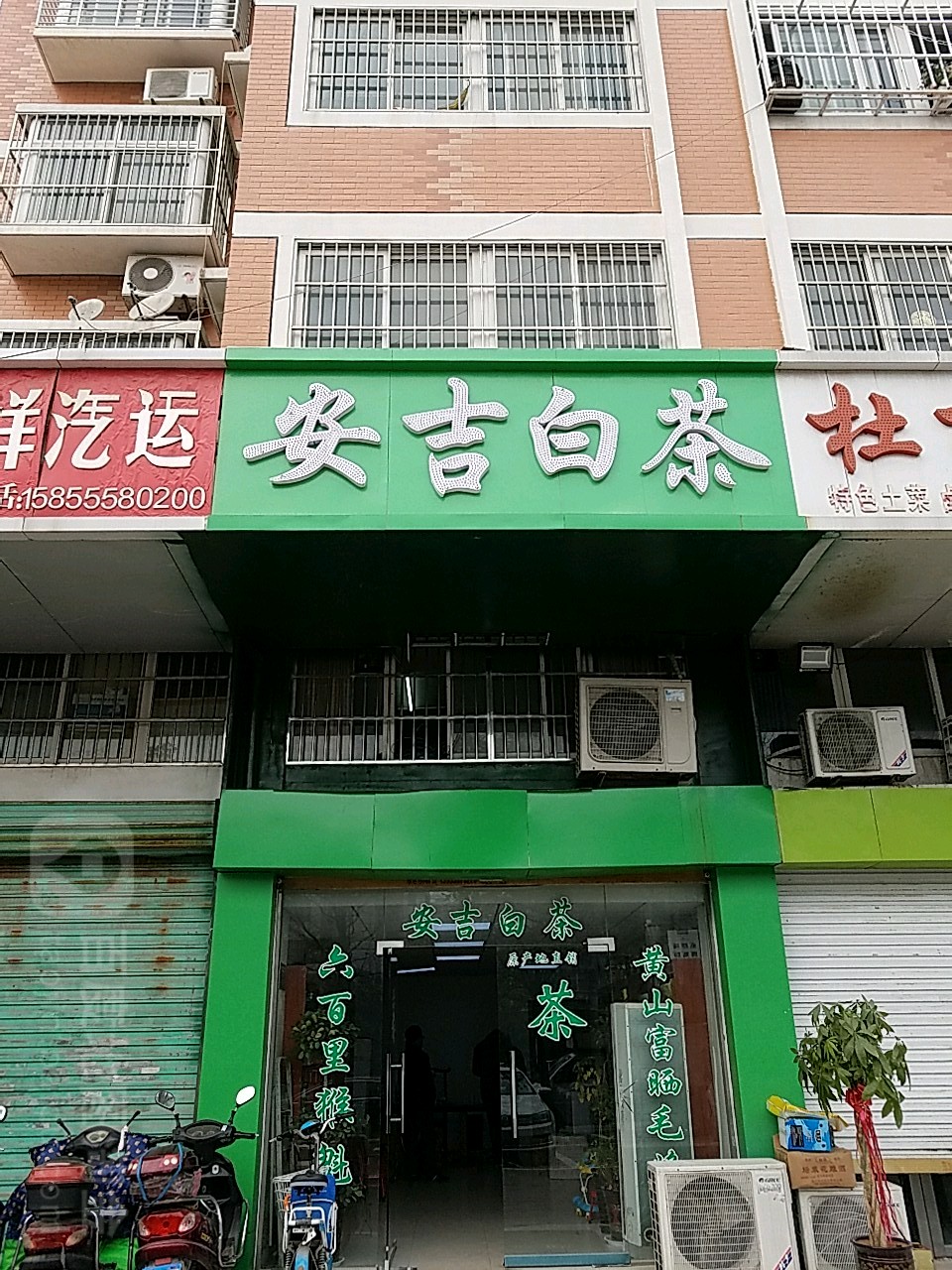 安吉白茶(北京中路店)