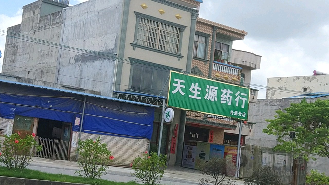 天生源药行(合浦分店)