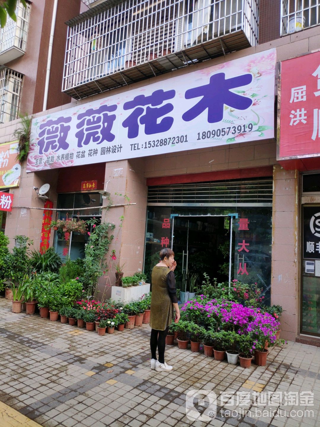 薇薇花木(锦绣华城店)