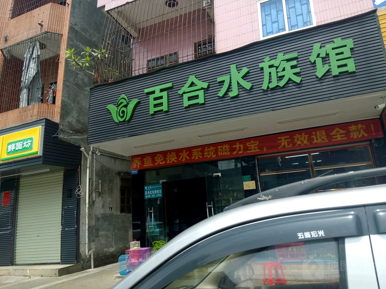 百合水族馆(环城路店)