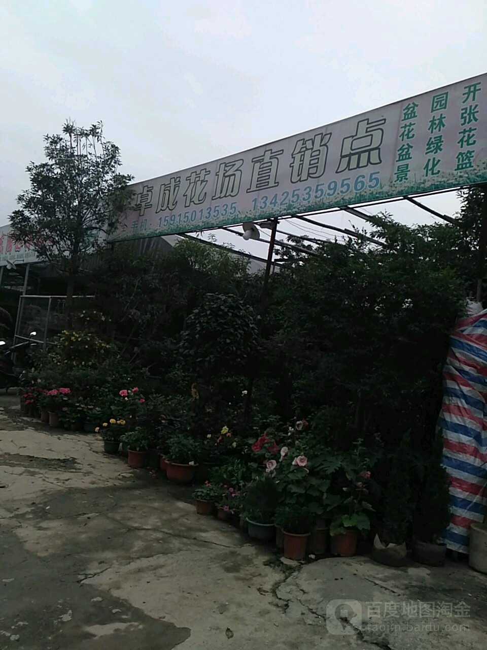 卓成花场直销点