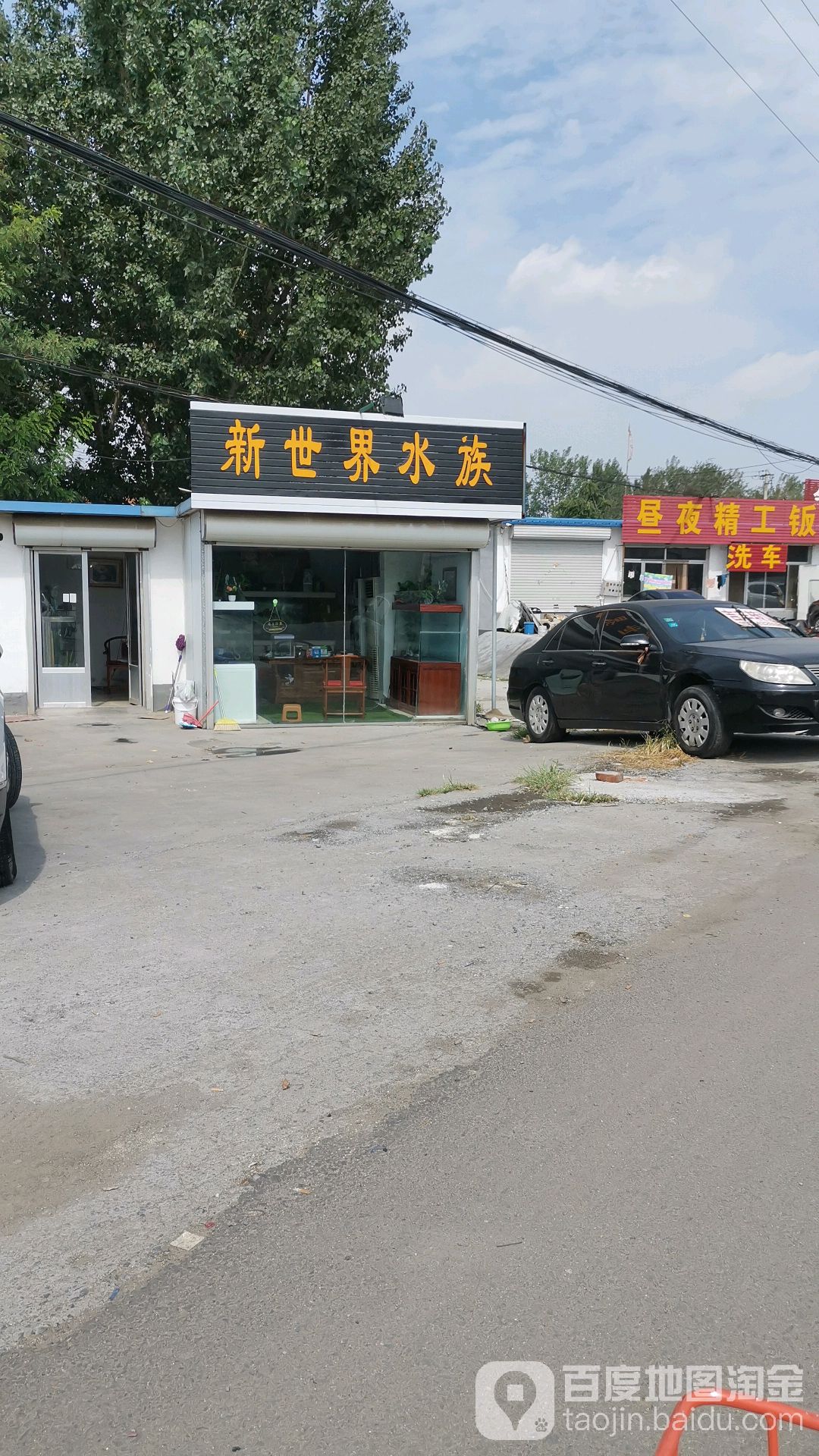 新世界水族