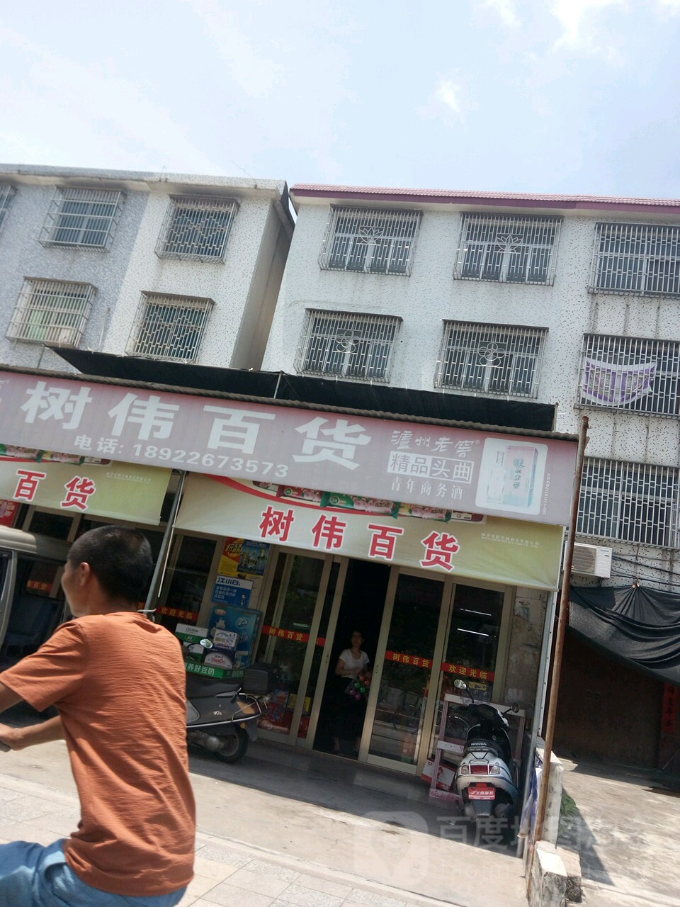 树伟大百