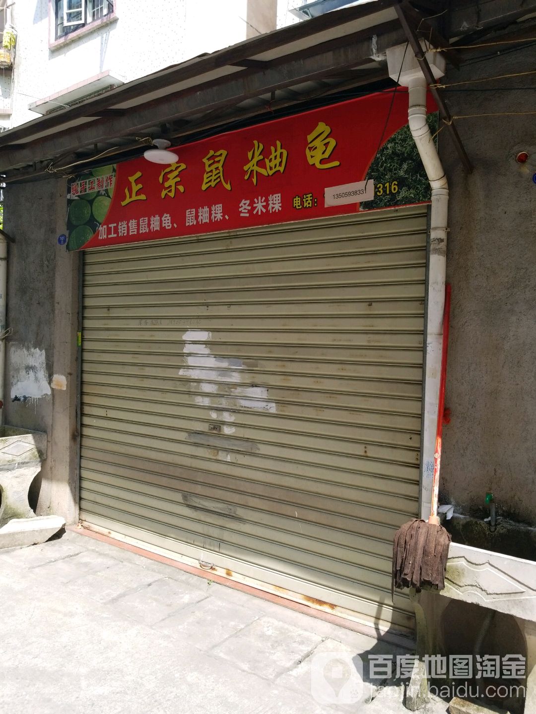 正宗鼠粬龟
