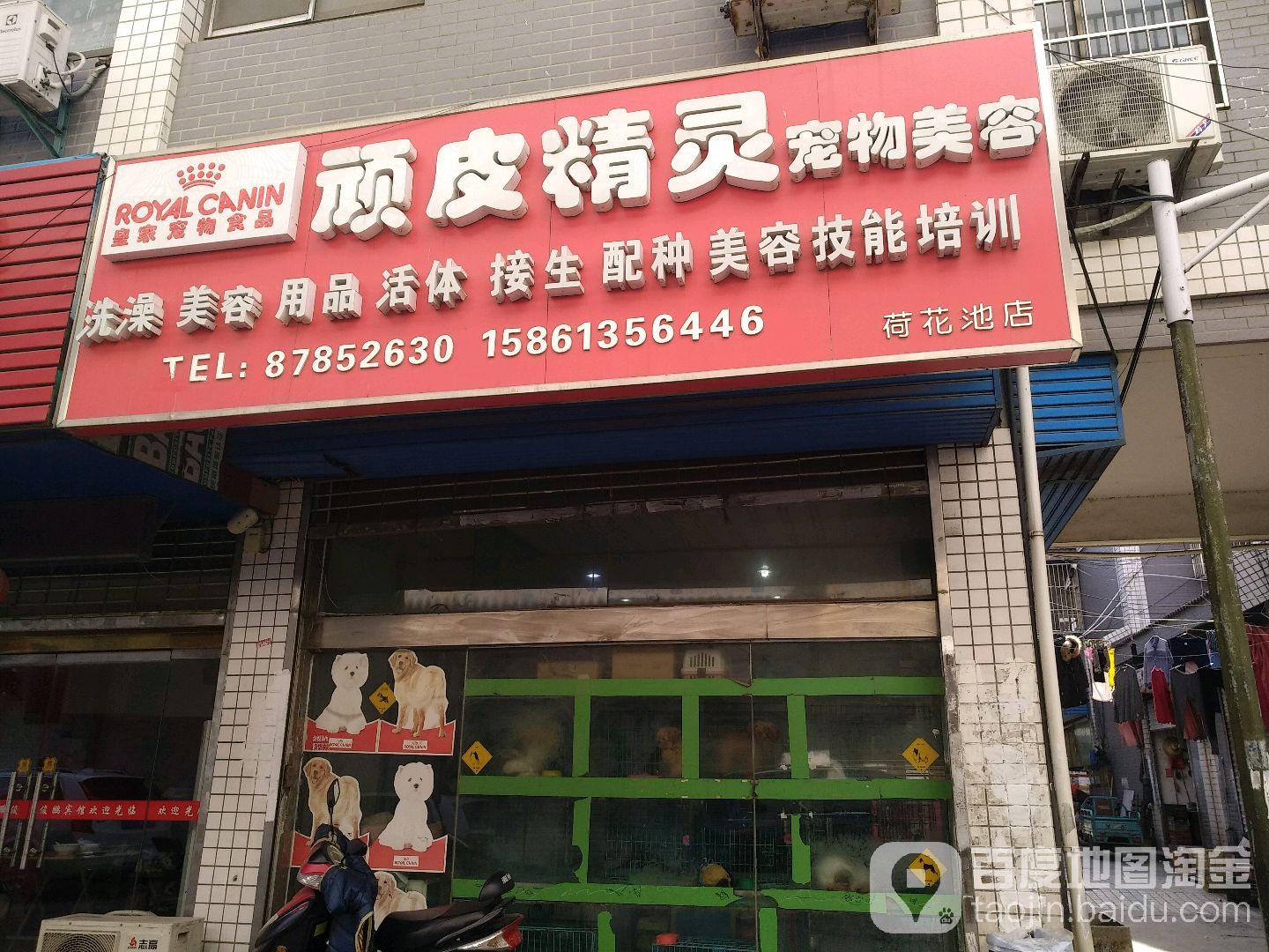 顽皮精灵宠舞美容(荷花池店)