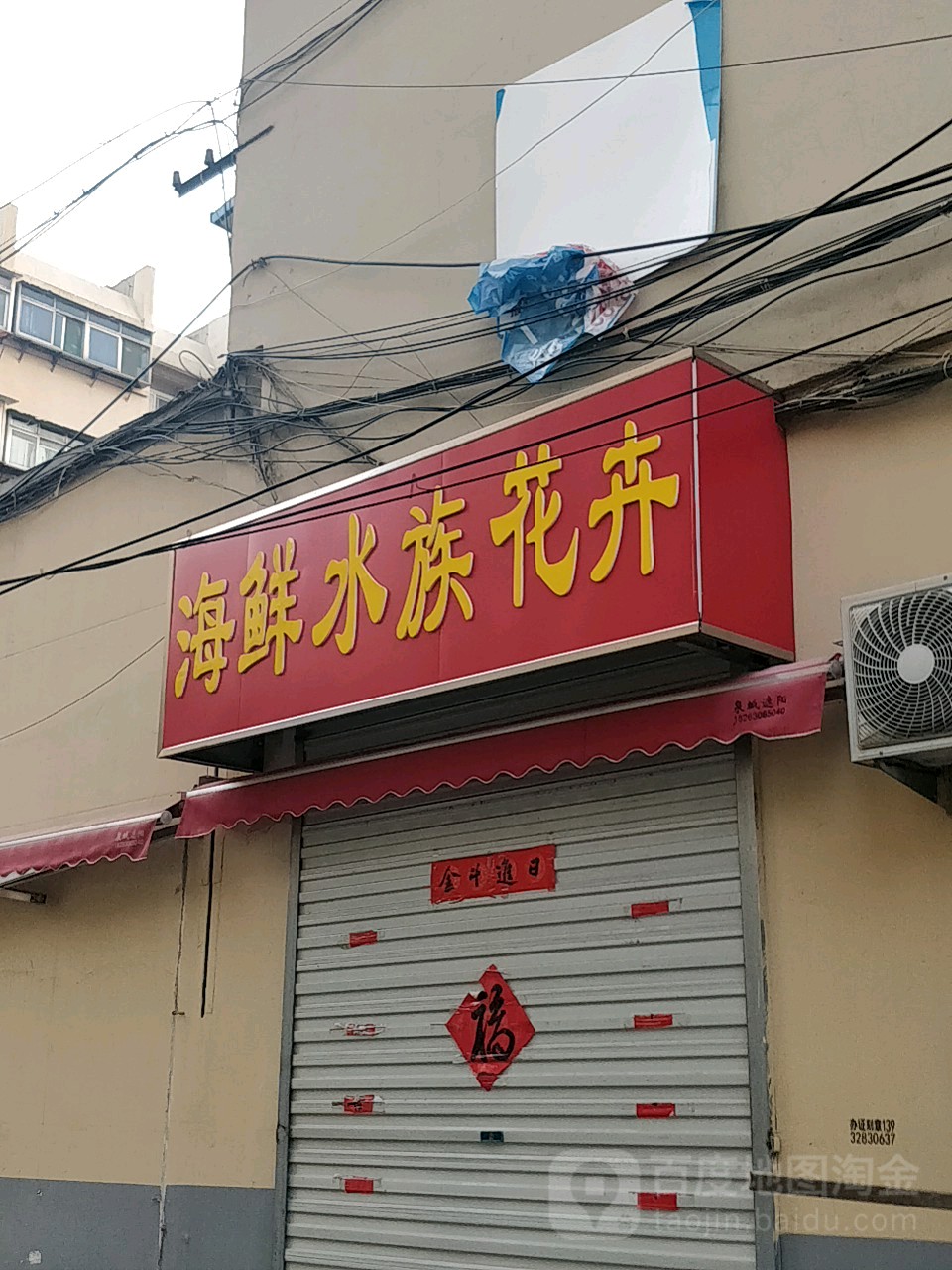 海鲜水族花卉
