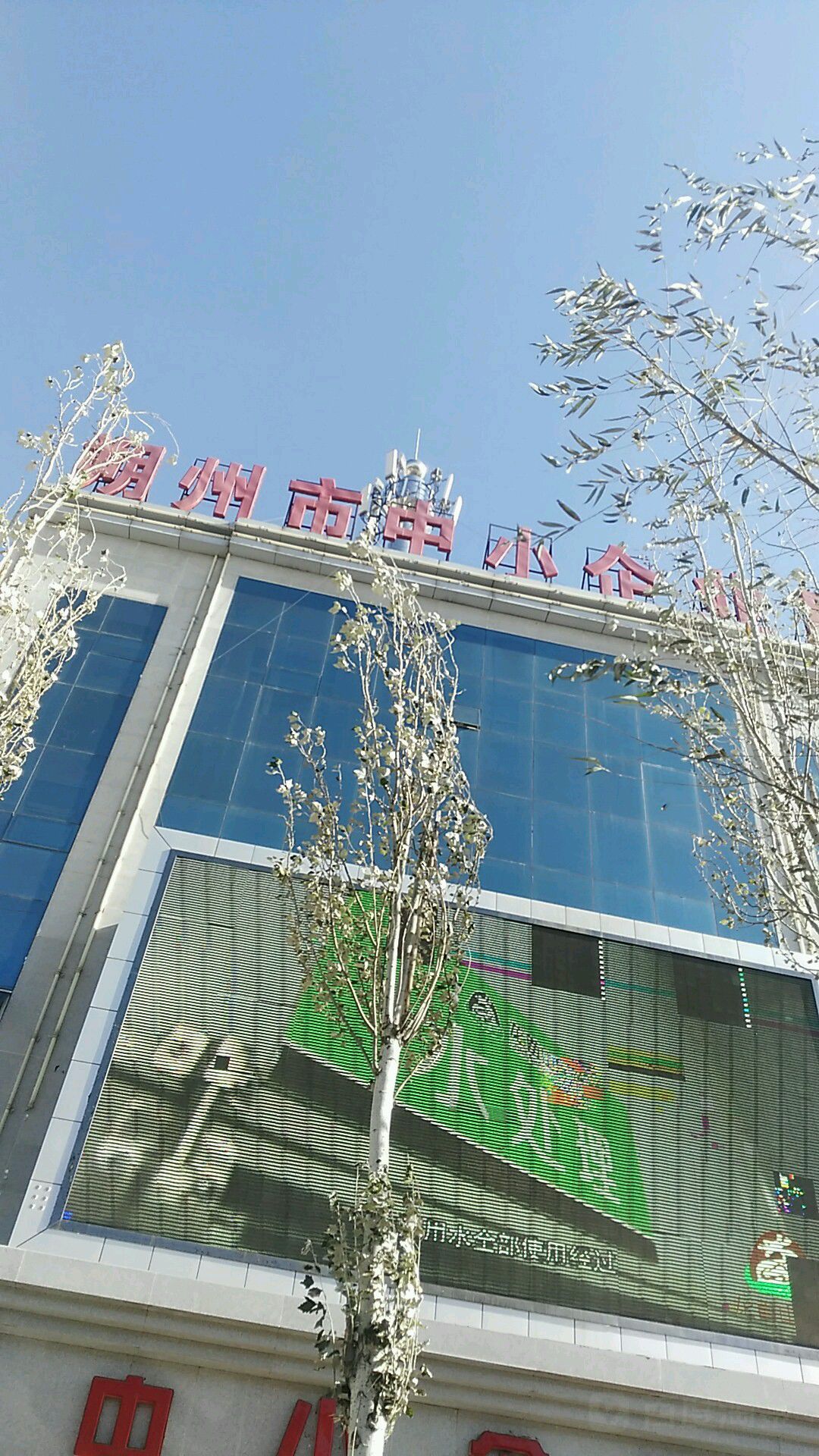 朔州市中小企业局