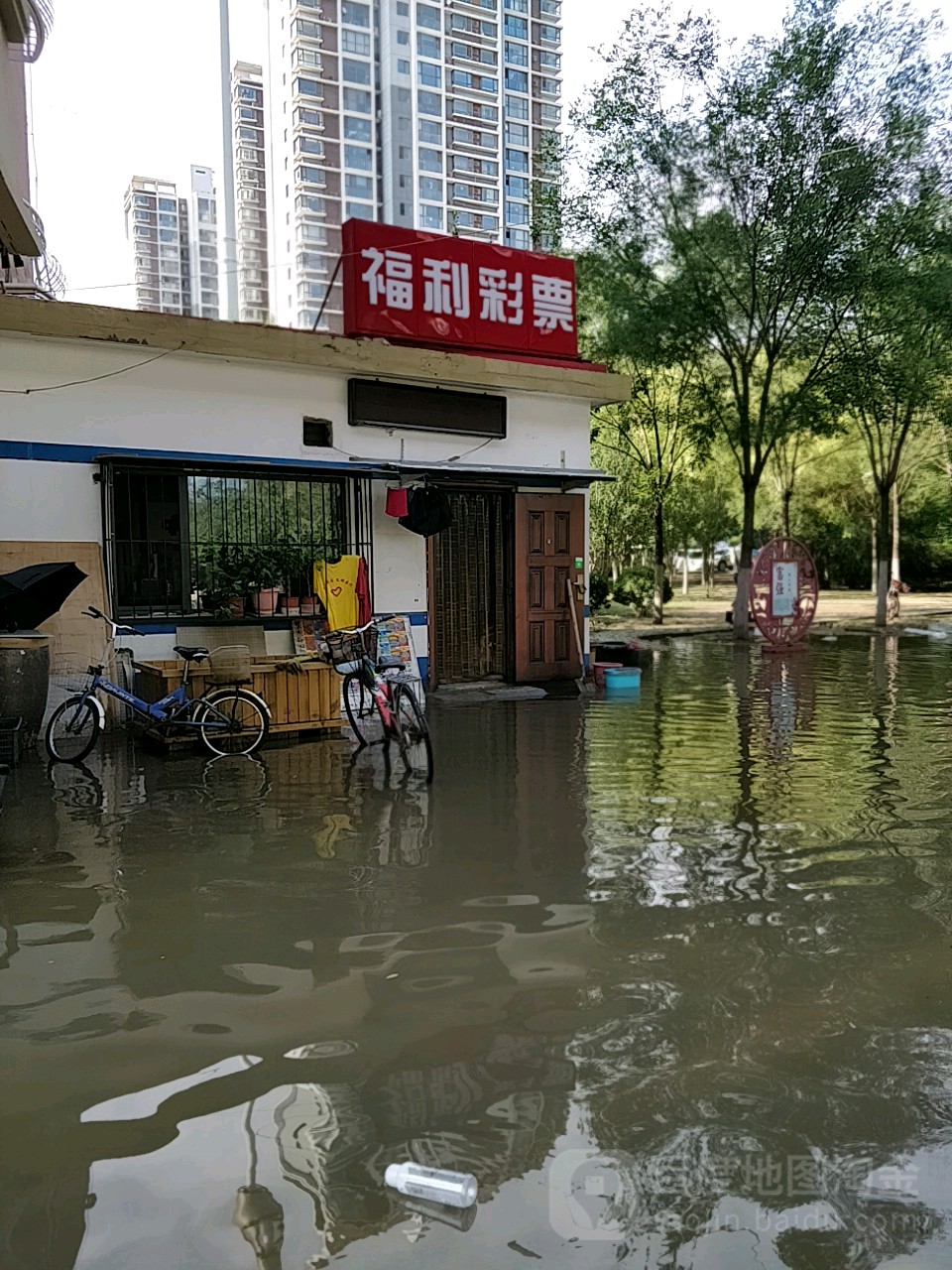 中国福利彩票(金福里店)