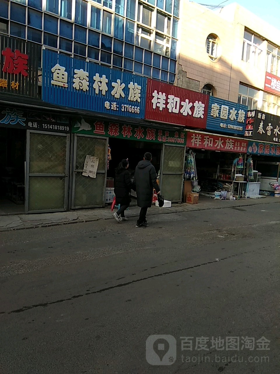 家寓水族
