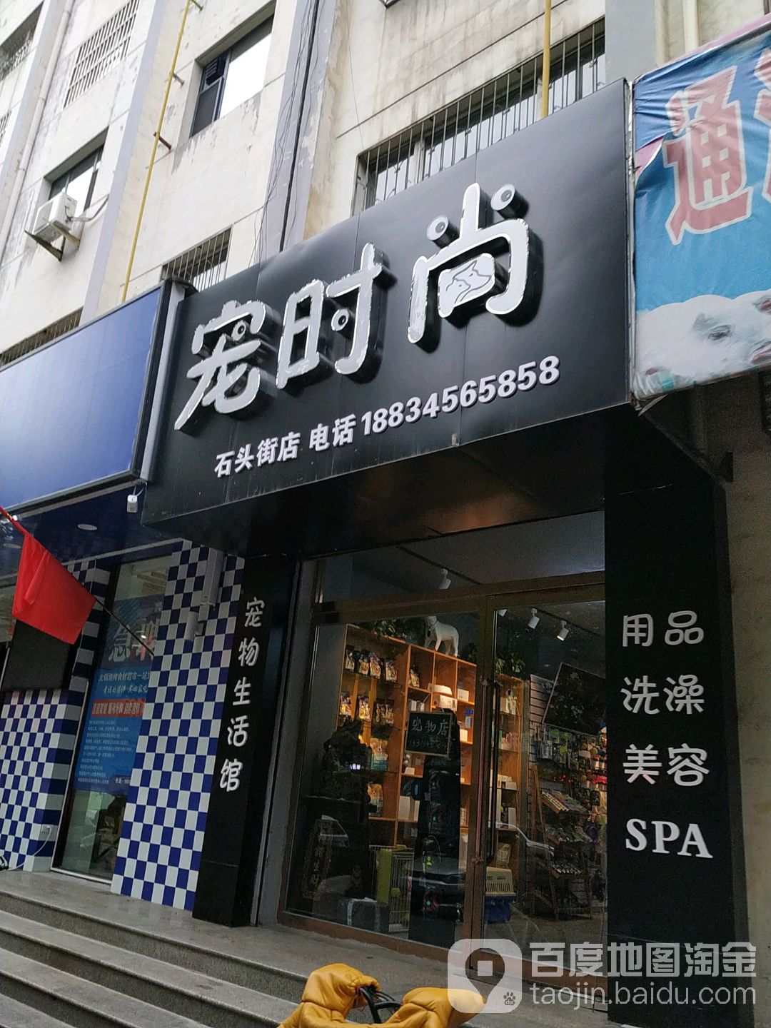 宠时尚(石头街店)