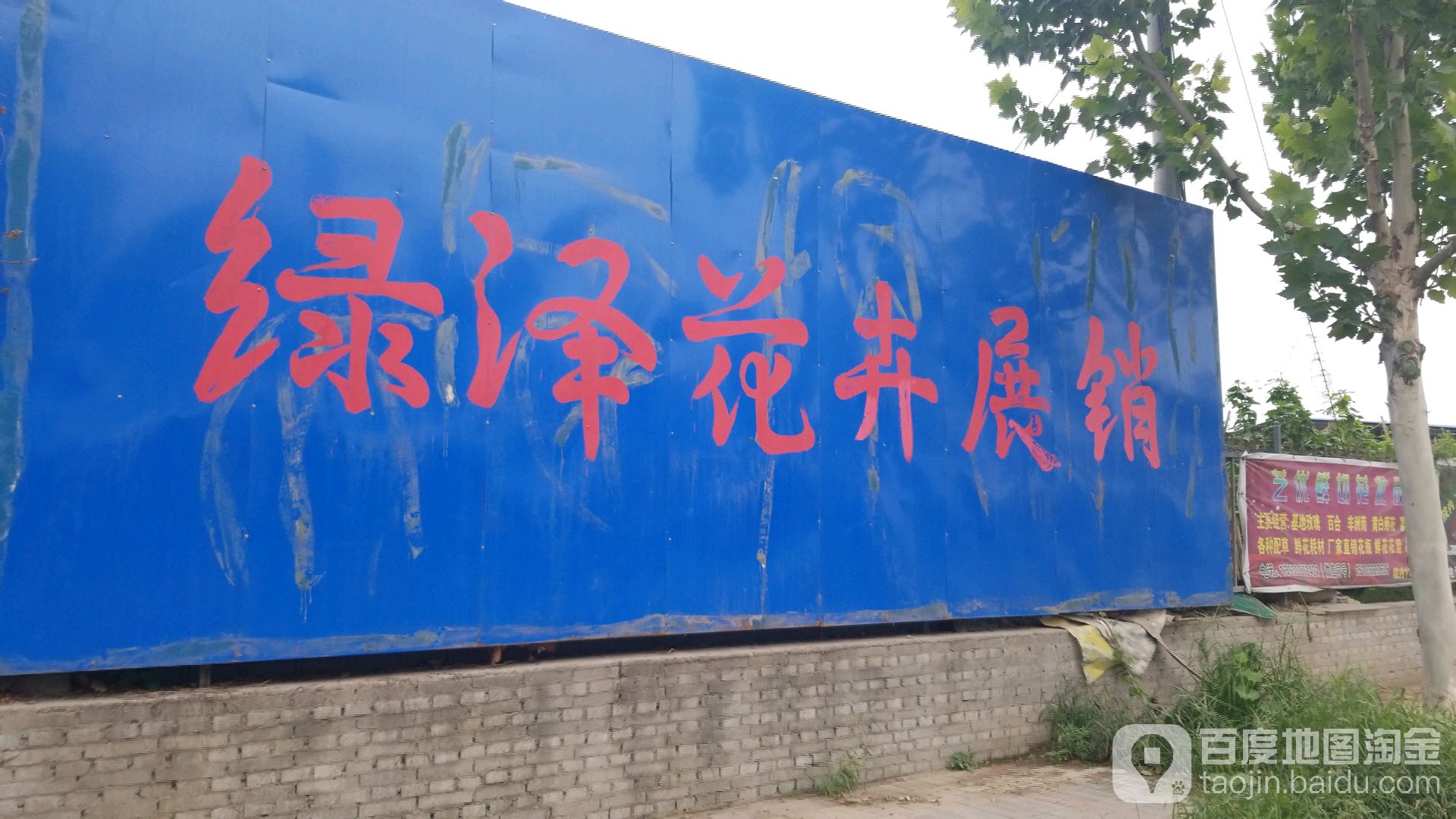 绿泽花卉基地