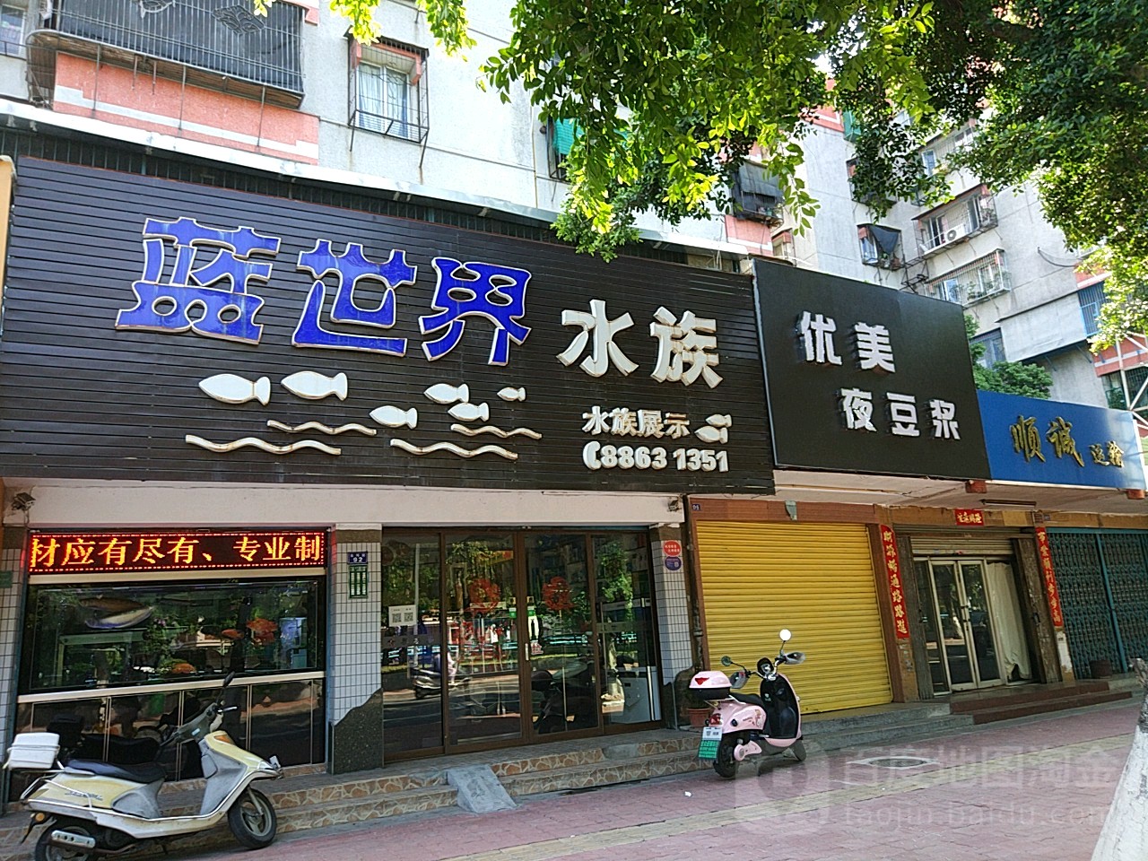 蓝世界水族馆(金环南路店)