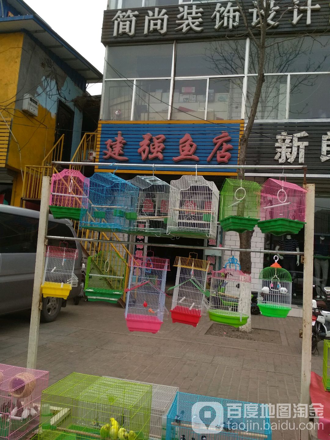 建强鱼店