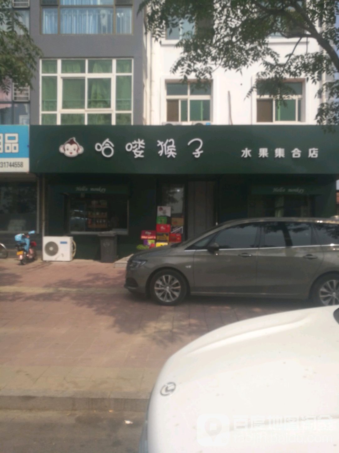 哈喽猴子水果集合店