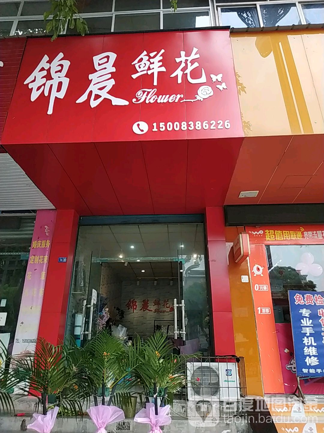 锦晨鲜花