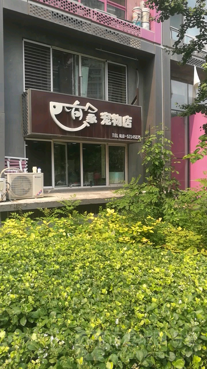 有家宠物店