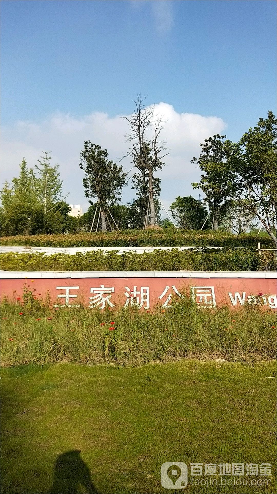 王家湖景公园