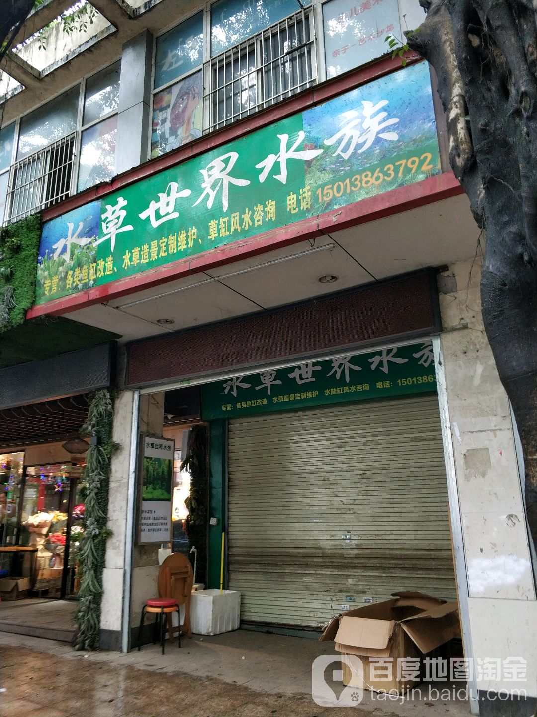 水草世界水族(深圳市龙华公园商业街店)