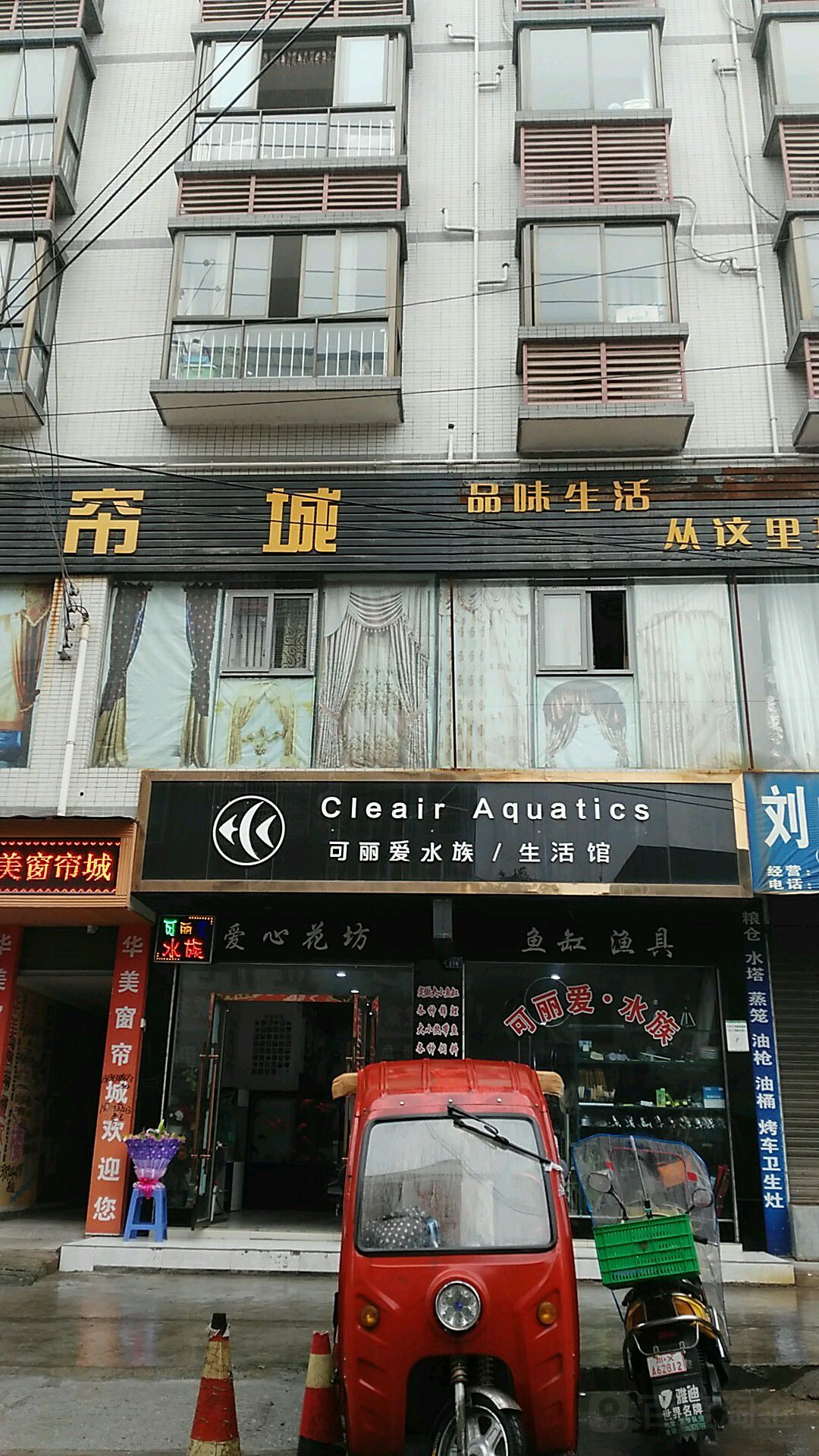 可丽爱水族生活馆