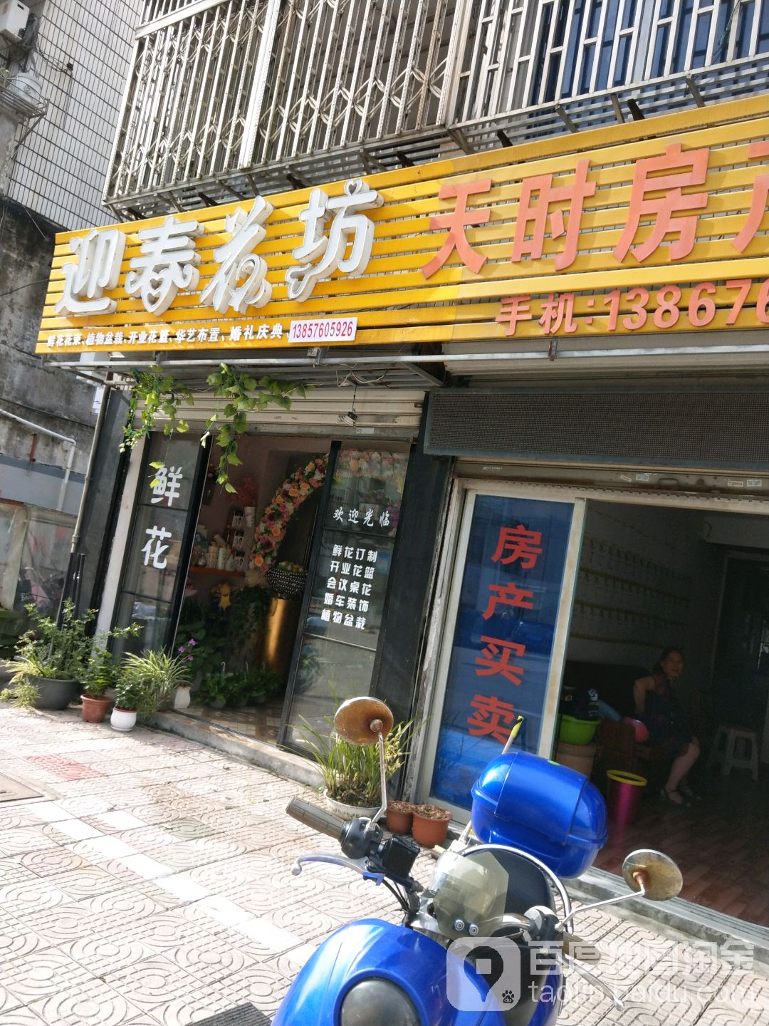 迎春花坊