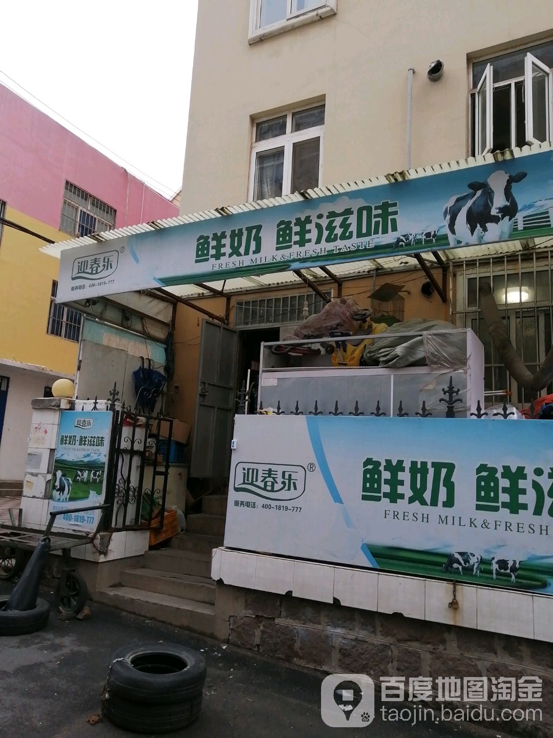 迎春乐鲜奶